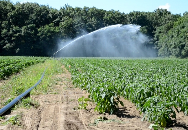 Water reuse for agricultural irrigation: Council adopts general approach